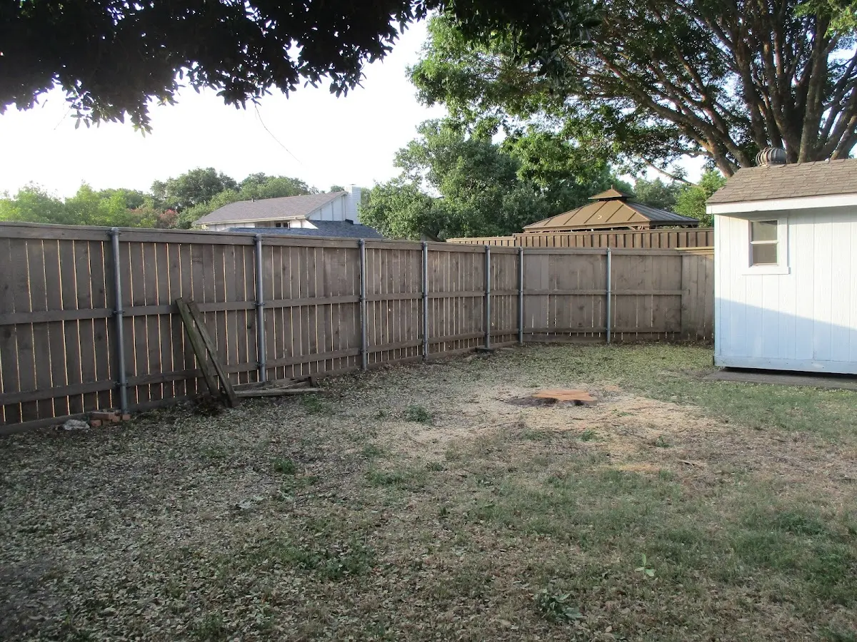 Cleared yard after professional tree removal in Mingoville